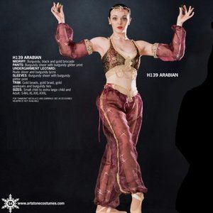 ISO |  Art Stone Arabian H139 | Burgundy 2 Piece Costume | ALL SIZES Used & New!